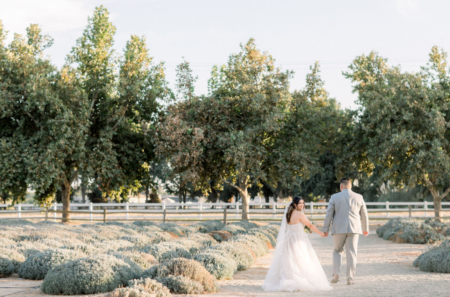 S + J Wedding at Pageo Lavender Farms — Penny & Co.